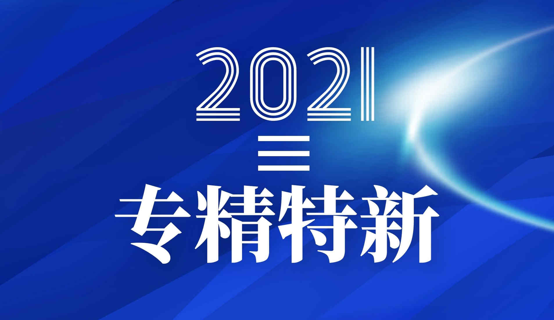 公司榮獲2021年廣東省專(zhuān)精特新企業(yè)